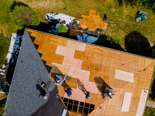 Roof Gutter Cleaning in Elmore, OH