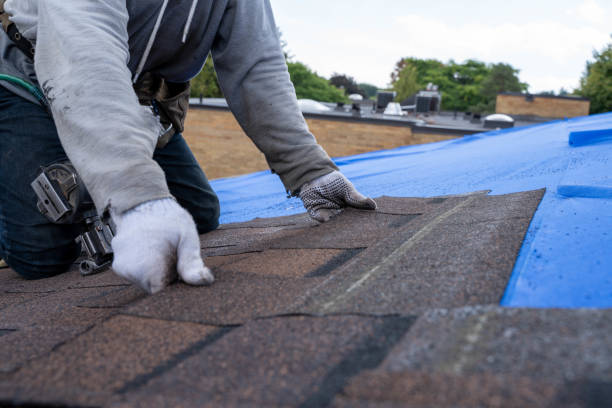 Best Storm Damage Roof Repair  in Elmore, OH