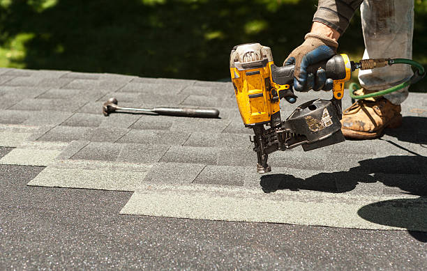 Best Roof Gutter Cleaning  in Elmore, OH